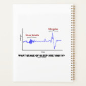 In welcher Bühne schlafen Sie? Planer (Rückseite)