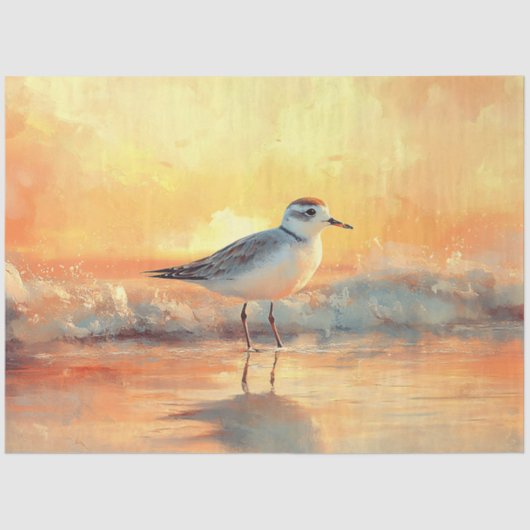 In Wellen Stehender Plover während Sonnenuntergang Seidenpapier (Vorderseite)
