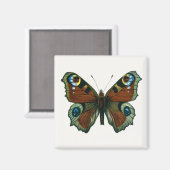 Inachis io - Die europäische Pfauenschmetterling Magnet (Vorderseite/Rückseite)