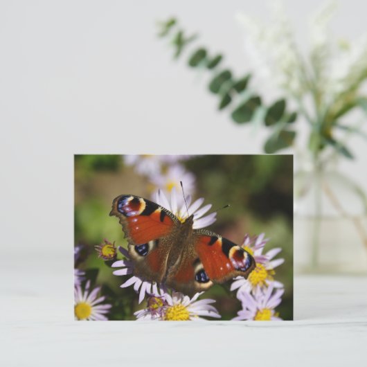 Inachis io postkarte (Stehend Vorderseite)