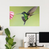 Inca Hummingbird in Flight Pose Poster (Heimbüro)