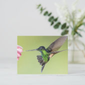 Inca Hummingbird in Flight Pose Postkarte (Stehend Vorderseite)