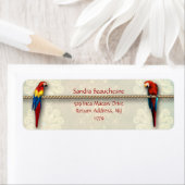 Inca Macaws - Cream Lace (Insitu)