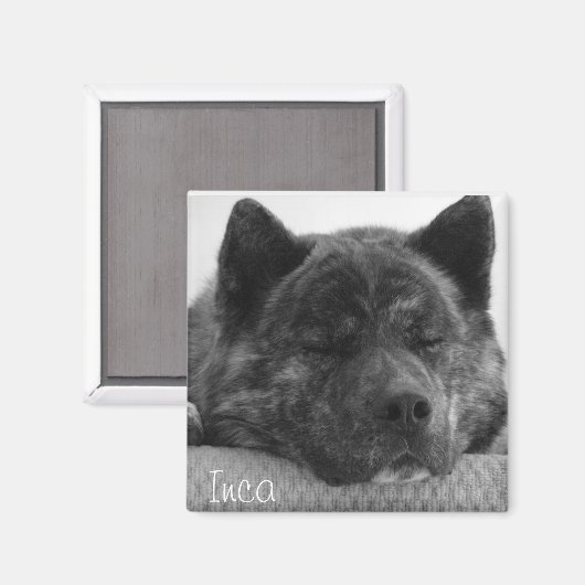 Inca Magnet (Vorderseite/Rückseite)