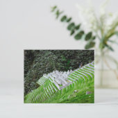 Inca Trail Machu Picchu Peru - Wanderfotografie Postkarte (Stehend Vorderseite)