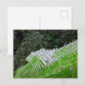Inca Trail Machu Picchu Peru - Wanderfotografie Postkarte (Vorne/Hinten)