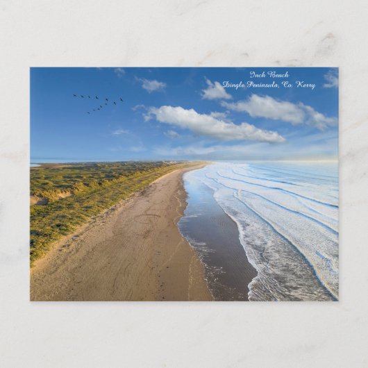 Inch Beach Co. Feiertagspostkarte (Vorderseite)