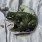 Incilius alvarius button (Beispiel)
