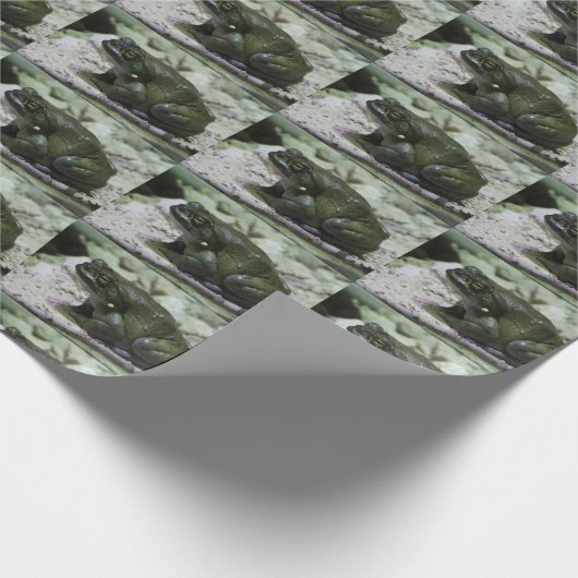 Incilius alvarius geschenkpapier (Ecke)