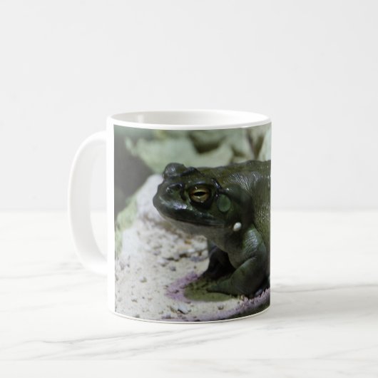 Incilius alvarius kaffeetasse (Vorderseite Links)