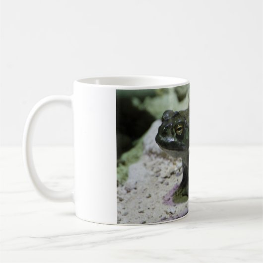 Incilius alvarius kaffeetasse (Links)