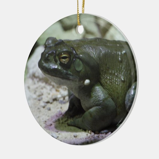 Incilius alvarius keramik ornament (Links)