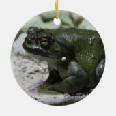 Incilius alvarius keramik ornament (Hinten)