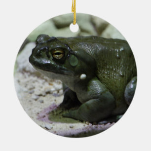 Incilius alvarius keramik ornament