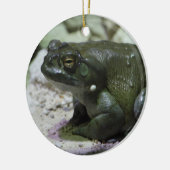 Incilius alvarius keramik ornament (Links)