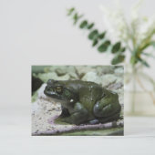 Incilius alvarius postkarte (Stehend Vorderseite)