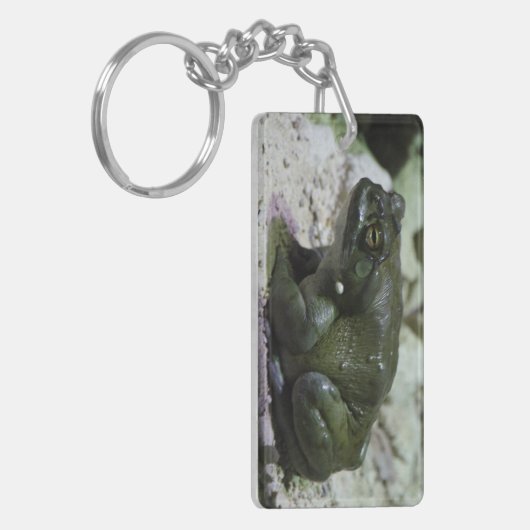 Incilius alvarius schlüsselanhänger (Vorderseite links)