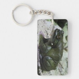 Incilius alvarius schlüsselanhänger