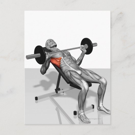 Incline Bench Press 2 Postkarte (Vorderseite)