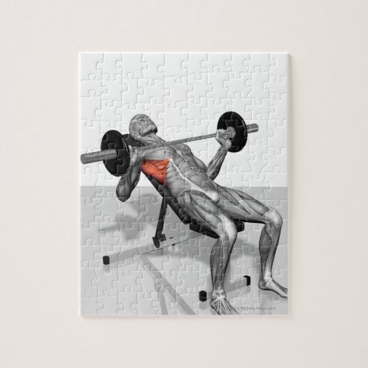 Incline Bench Press 2 Puzzle (Vertikal)