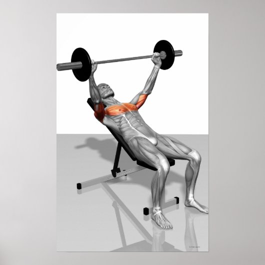 Incline Bench Press 3 Poster (Vorne)