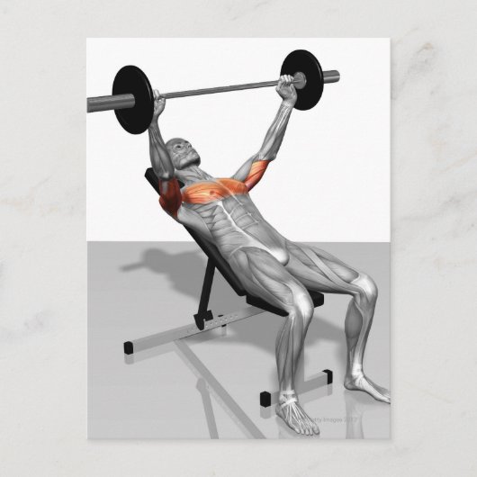 Incline Bench Press Postkarte (Vorderseite)