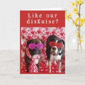 **INCOGNITO & SHY** SEIEN SIE UNSERE VALENTINE? KARTE (Gelbe Blume)