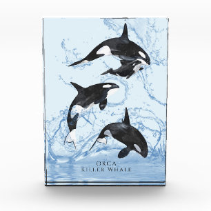 Incredible Black and White Watercolor Orcas Fotoblock