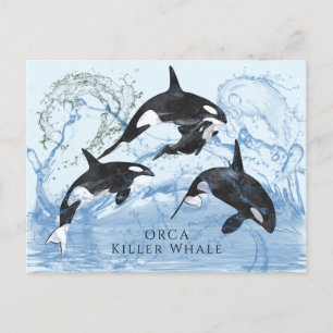 Incredible Black and White Watercolor Orcas Postkarte