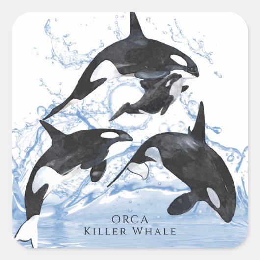 Incredible Black and White Watercolor Orcas Quadratischer Aufkleber (Vorderseite)