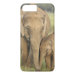 Indelefant / Asiatischer Elefant und Jungtier, Cor Case-Mate iPhone Hülle