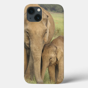 Indelefant / Asiatischer Elefant und Jungtier, Cor Case-Mate iPhone Hülle
