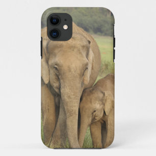 Indelefant / Asiatischer Elefant und Jungtier, Cor iPhone 11 Hülle