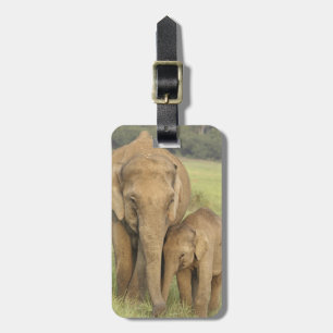 Indelefant / Asiatischer Elefant und Jungtier, Cor Gepäckanhänger