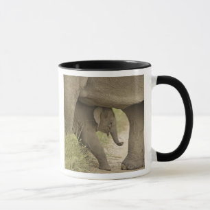 Indelefant / Asiatischer Elefant und Jungtier, Cor Tasse