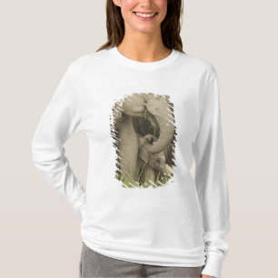 Inder / Asiatischer Elefant und Jungtier, Corbett T-Shirt