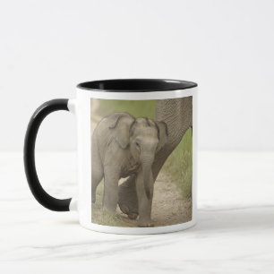 Inder / Asiatischer Elefant und Jungtier, Corbett Tasse