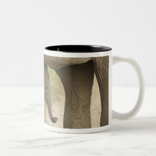 Inder / Asiatischer Elefant und Jungtier, Corbett Zweifarbige Tasse