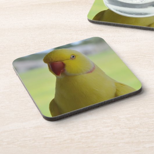 Inder Ringneck im Schatten Untersetzer (Linke Seite)