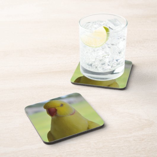 Inder Ringneck im Schatten Untersetzer (Rechte Seite)