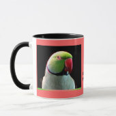 Inder Ringneck Parakeet Tasse (Links)