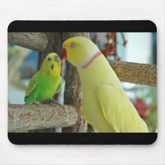 Inder Ringneck und Budgie küssende Mausunterlage Mousepad (Vorne)