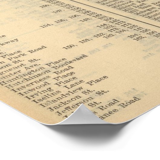 Index New Rochelle Poster (Ecke)