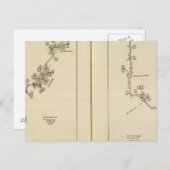 Indexkarte Albany, Saratoga Springs Postkarte (Vorne/Hinten)