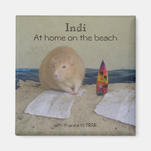 Indi, zu Hause auf dem Strand, mit Dank… Magnet
