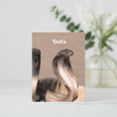 India Cobra Postkarte (Stehend Vorderseite)