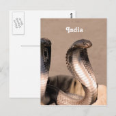 India Cobra Postkarte (Vorne/Hinten)