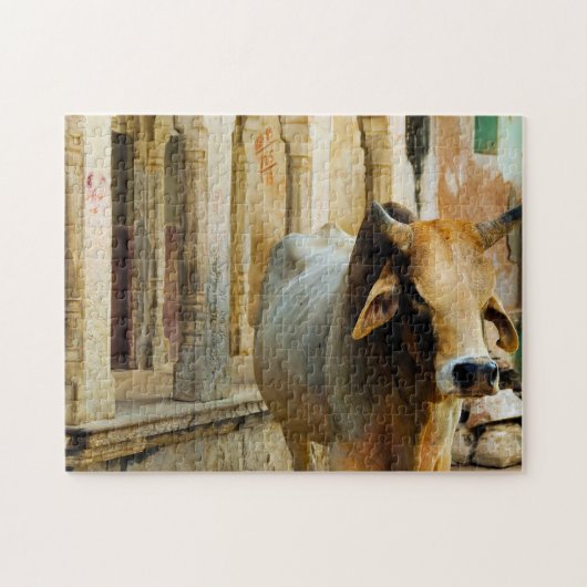 India Rajastan Sacred Cow Puzzle (Horizontal)