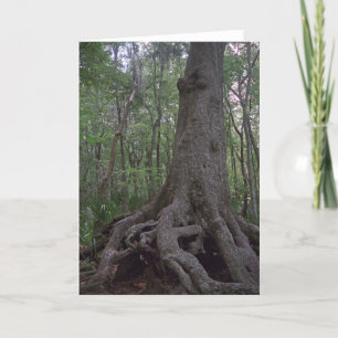 Indian Artifact Custom Louisiana Grußkarten Karte