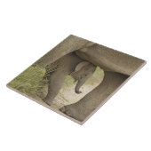 Indian / Asian Elephant and young one,Corbett Fliese (Seite)